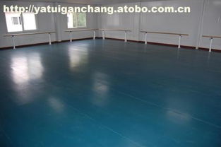 010,價格,廠家,供應商,舞蹈用品,滄州籃鯨文體器材設備廠 熱賣促銷